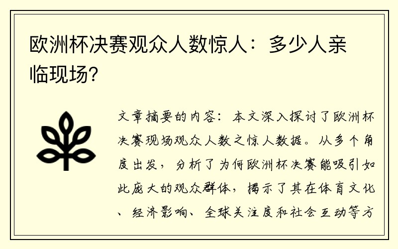 欧洲杯决赛观众人数惊人：多少人亲临现场？
